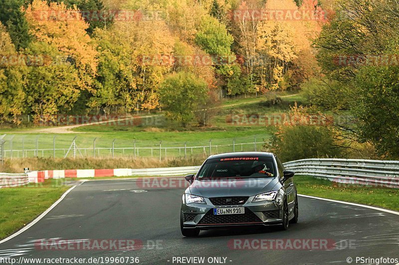 Bild #19960736 - Touristenfahrten Nürburgring Nordschleife (12.11.2022)