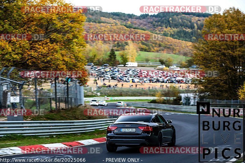 Bild #20025066 - Touristenfahrten Nürburgring Nordschleife (12.11.2022)