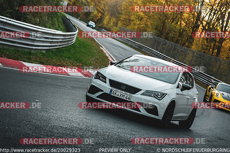 Bild #20029323 - Touristenfahrten Nürburgring Nordschleife (13.11.2022)