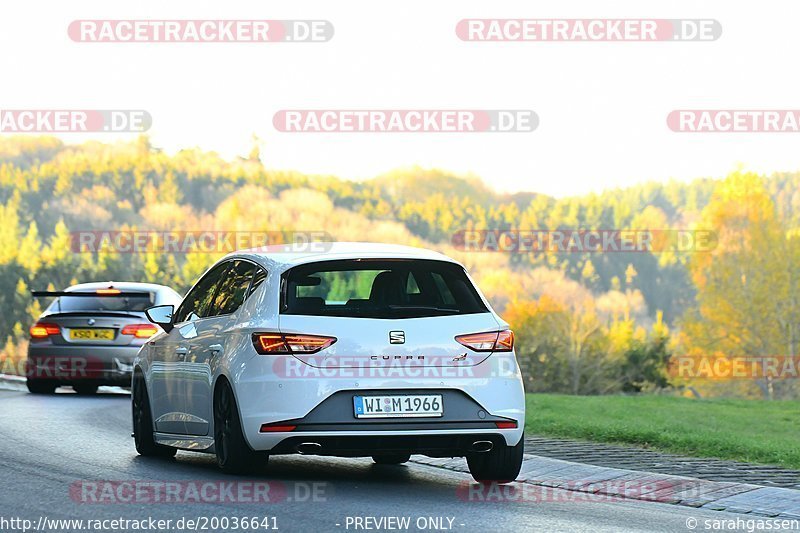 Bild #20036641 - Touristenfahrten Nürburgring Nordschleife (13.11.2022)