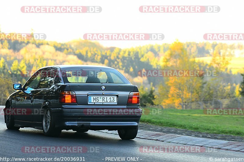 Bild #20036931 - Touristenfahrten Nürburgring Nordschleife (13.11.2022)