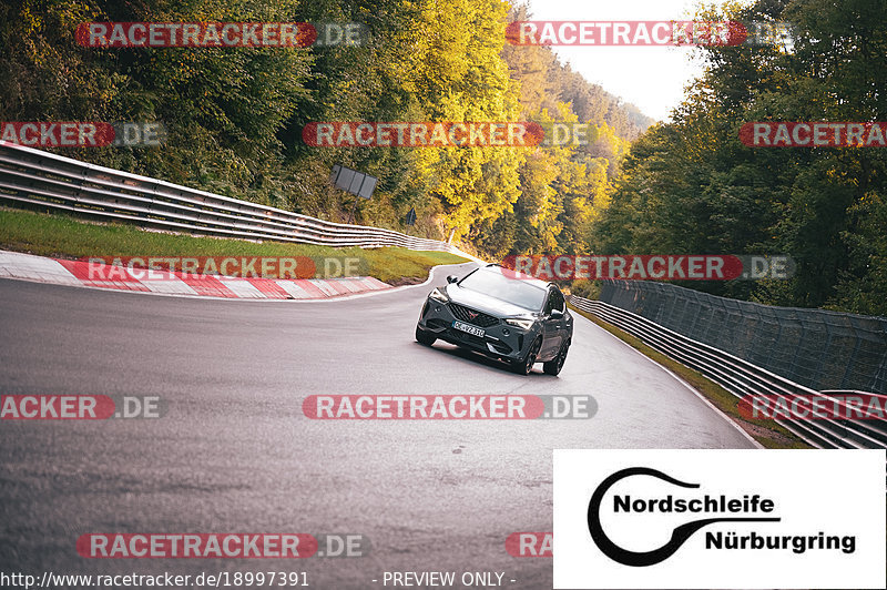 Bild #18997391 - Touristenfahrten Nürburgring Nordschleife (11.09.2022)