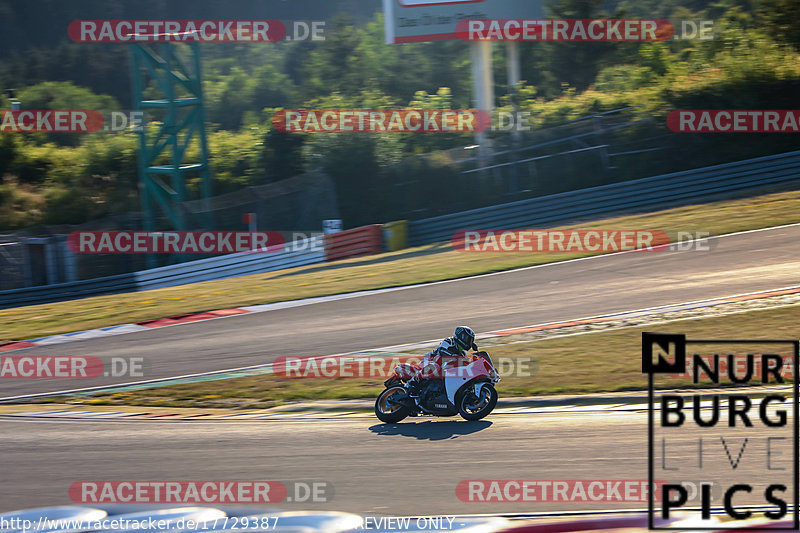 Bild #17729387 - Touristenfahrten Nürburgring Grand-Prix-Strecke (05.07.2022)