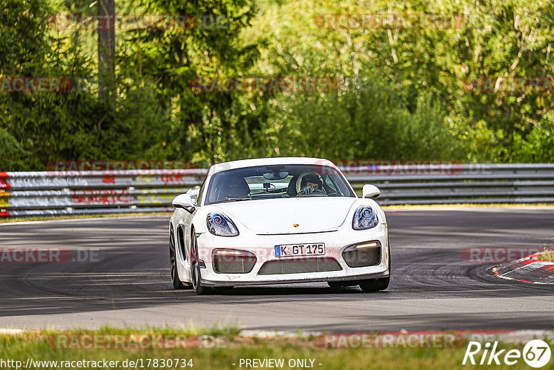 Bild #17830734 - Touristenfahrten Nürburgring Nordschleife (12.07.2022)