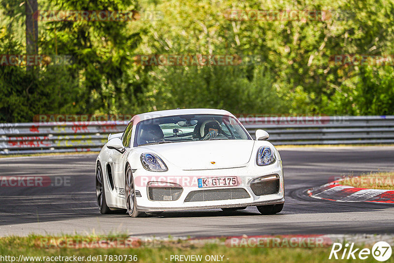 Bild #17830736 - Touristenfahrten Nürburgring Nordschleife (12.07.2022)