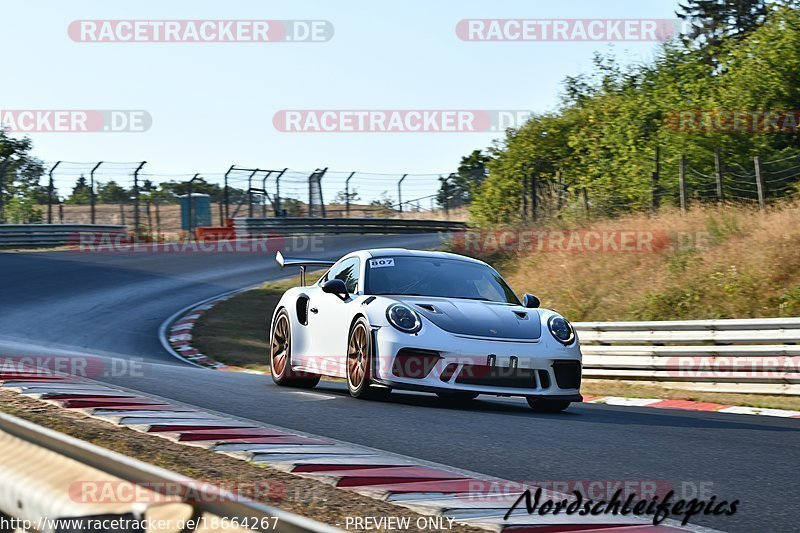 Bild #18664267 - Trackdays.de Nordschleife 22.08.2022