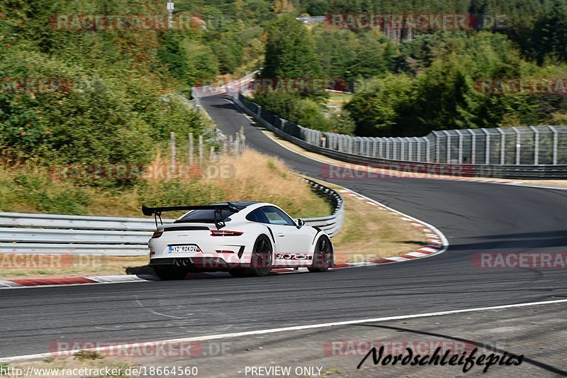 Bild #18664560 - Trackdays.de Nordschleife 22.08.2022