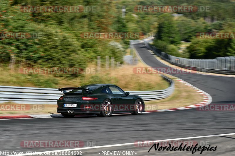 Bild #18664602 - Trackdays.de Nordschleife 22.08.2022