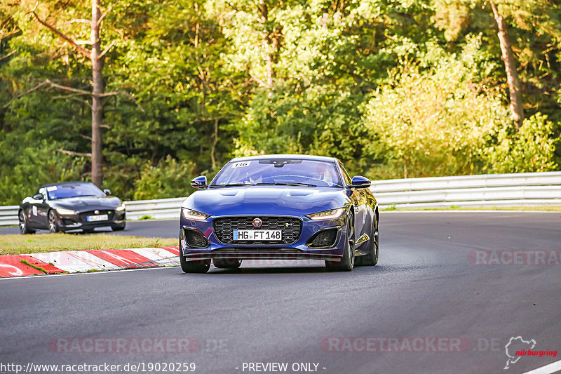 Bild #19020259 - SPORTFAHRERTRAINING NORDSCHLEIFE XL (12.09.2022)