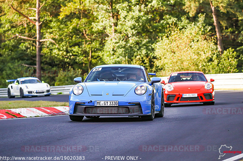 Bild #19020383 - SPORTFAHRERTRAINING NORDSCHLEIFE XL (12.09.2022)