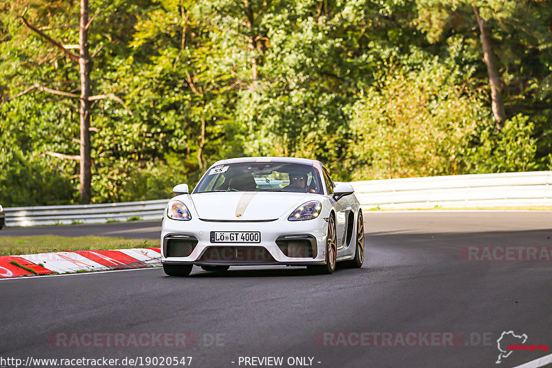 Bild #19020547 - SPORTFAHRERTRAINING NORDSCHLEIFE XL (12.09.2022)