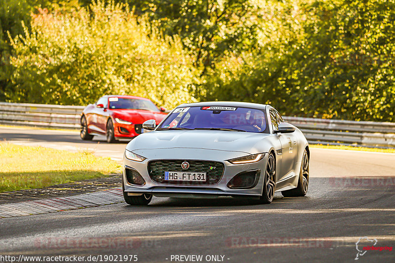 Bild #19021975 - SPORTFAHRERTRAINING NORDSCHLEIFE XL (12.09.2022)