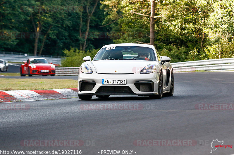 Bild #19027116 - SPORTFAHRERTRAINING NORDSCHLEIFE XL (12.09.2022)