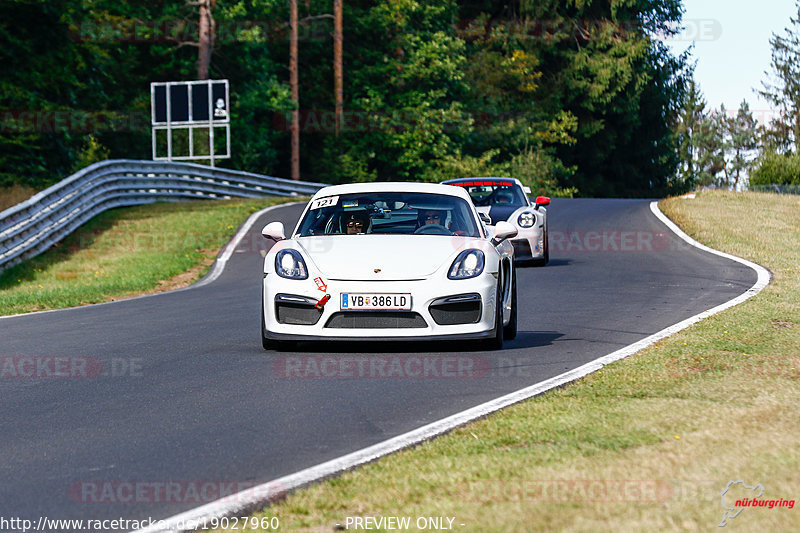 Bild #19027960 - SPORTFAHRERTRAINING NORDSCHLEIFE XL (12.09.2022)