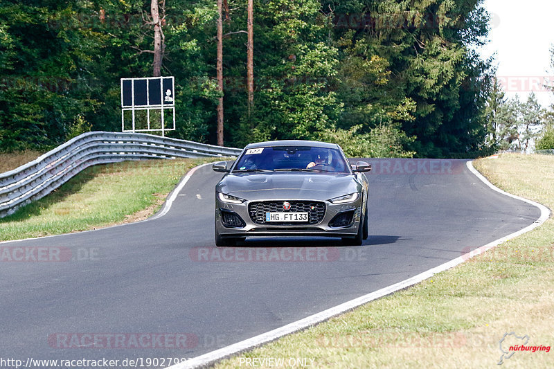 Bild #19027983 - SPORTFAHRERTRAINING NORDSCHLEIFE XL (12.09.2022)