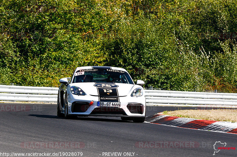 Bild #19028079 - SPORTFAHRERTRAINING NORDSCHLEIFE XL (12.09.2022)