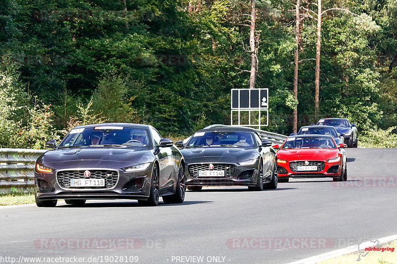 Bild #19028109 - SPORTFAHRERTRAINING NORDSCHLEIFE XL (12.09.2022)