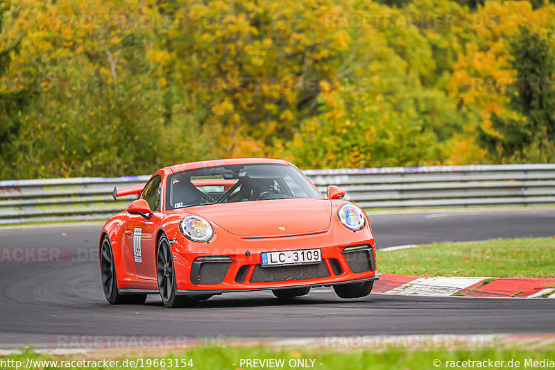 Bild #19663154 - Manthey-Racing Nordschleifen Trackday (17.10.2022)