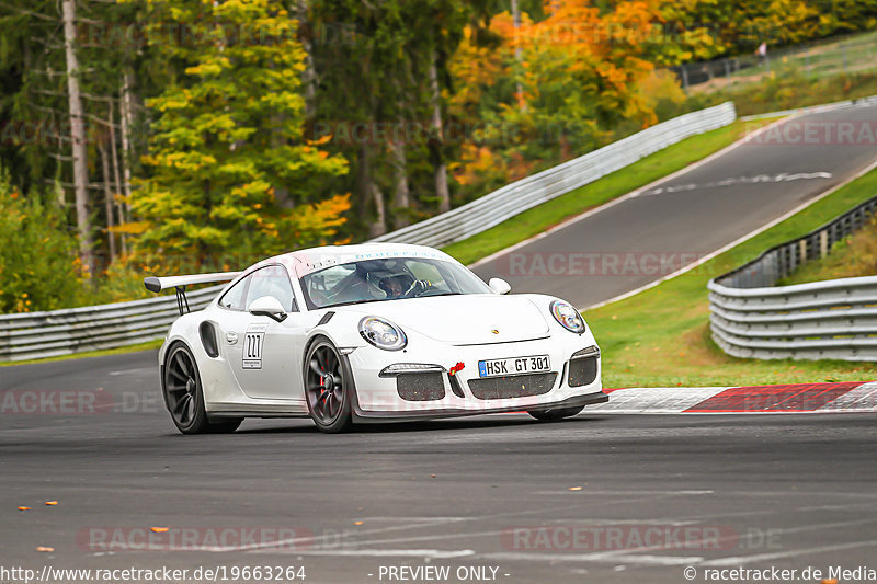 Bild #19663264 - Manthey-Racing Nordschleifen Trackday (17.10.2022)