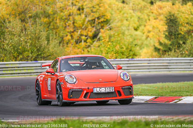 Bild #19663488 - Manthey-Racing Nordschleifen Trackday (17.10.2022)