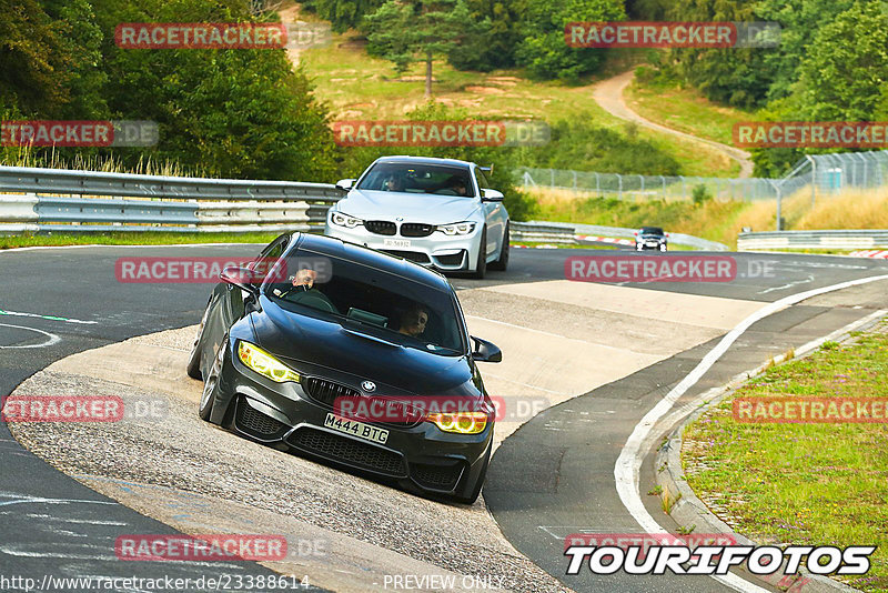 Bild #23388614 - Touristenfahrten Nürburgring Nordschleife (04.08.2023)