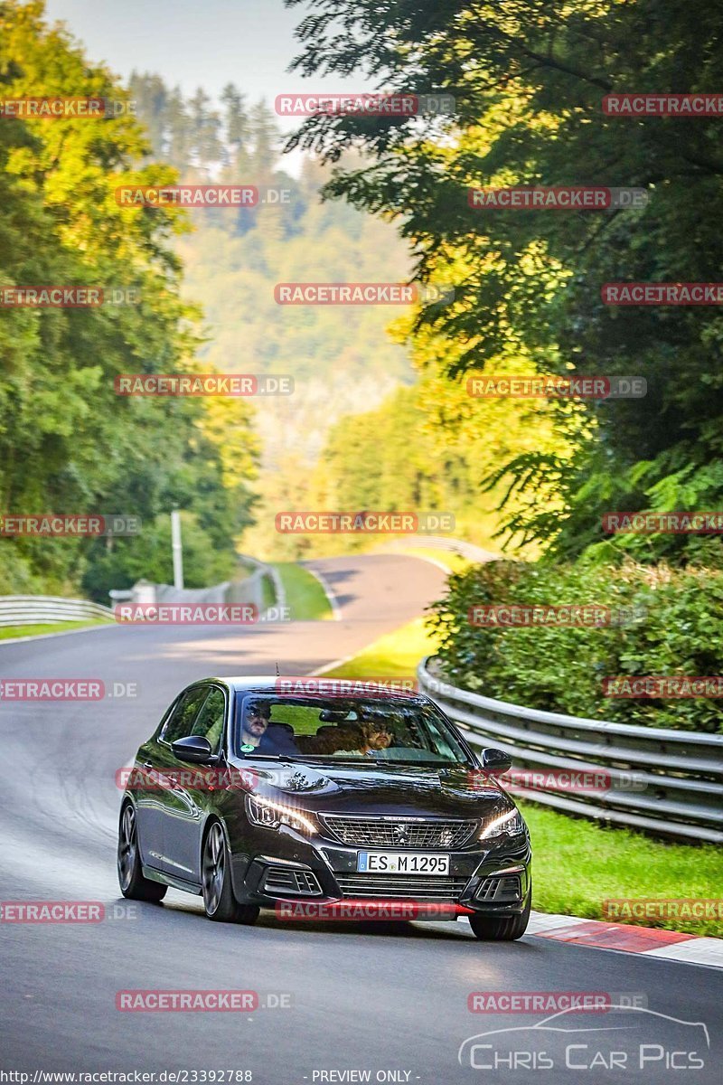 Bild #23392788 - Touristenfahrten Nürburgring Nordschleife (05.08.2023)