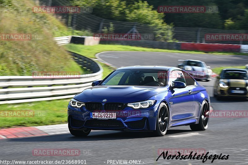 Bild #23668901 - Touristenfahrten Nürburgring Nordschleife (15.08.2023)