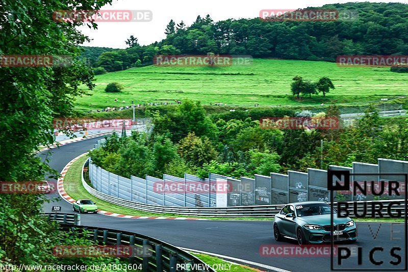 Bild #23803604 - Touristenfahrten Nürburgring Nordschleife (19.08.2023)