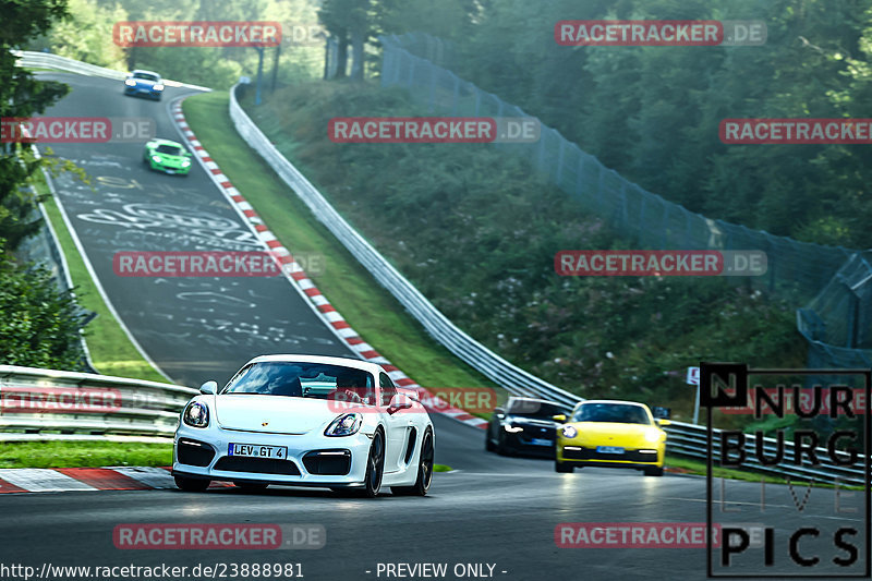 Bild #23888981 - Touristenfahrten Nürburgring Nordschleife (20.08.2023)