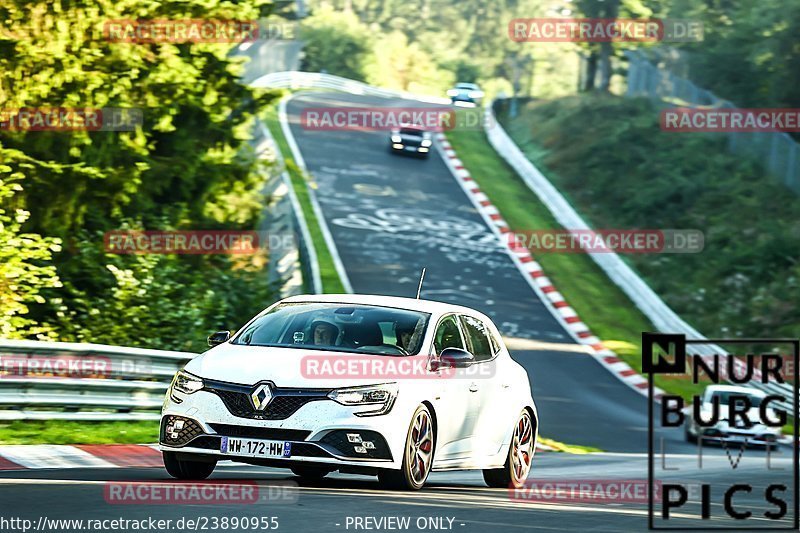 Bild #23890955 - Touristenfahrten Nürburgring Nordschleife (20.08.2023)