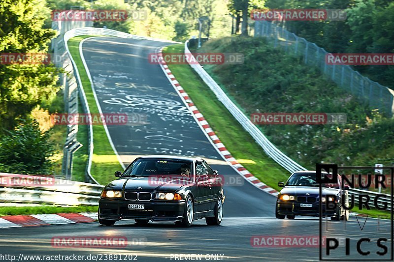 Bild #23891202 - Touristenfahrten Nürburgring Nordschleife (20.08.2023)