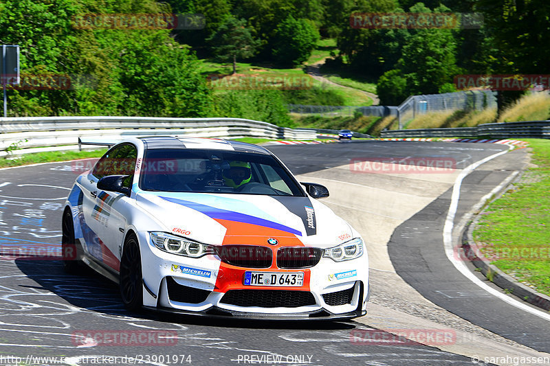 Bild #23901974 - Touristenfahrten Nürburgring Nordschleife (20.08.2023)