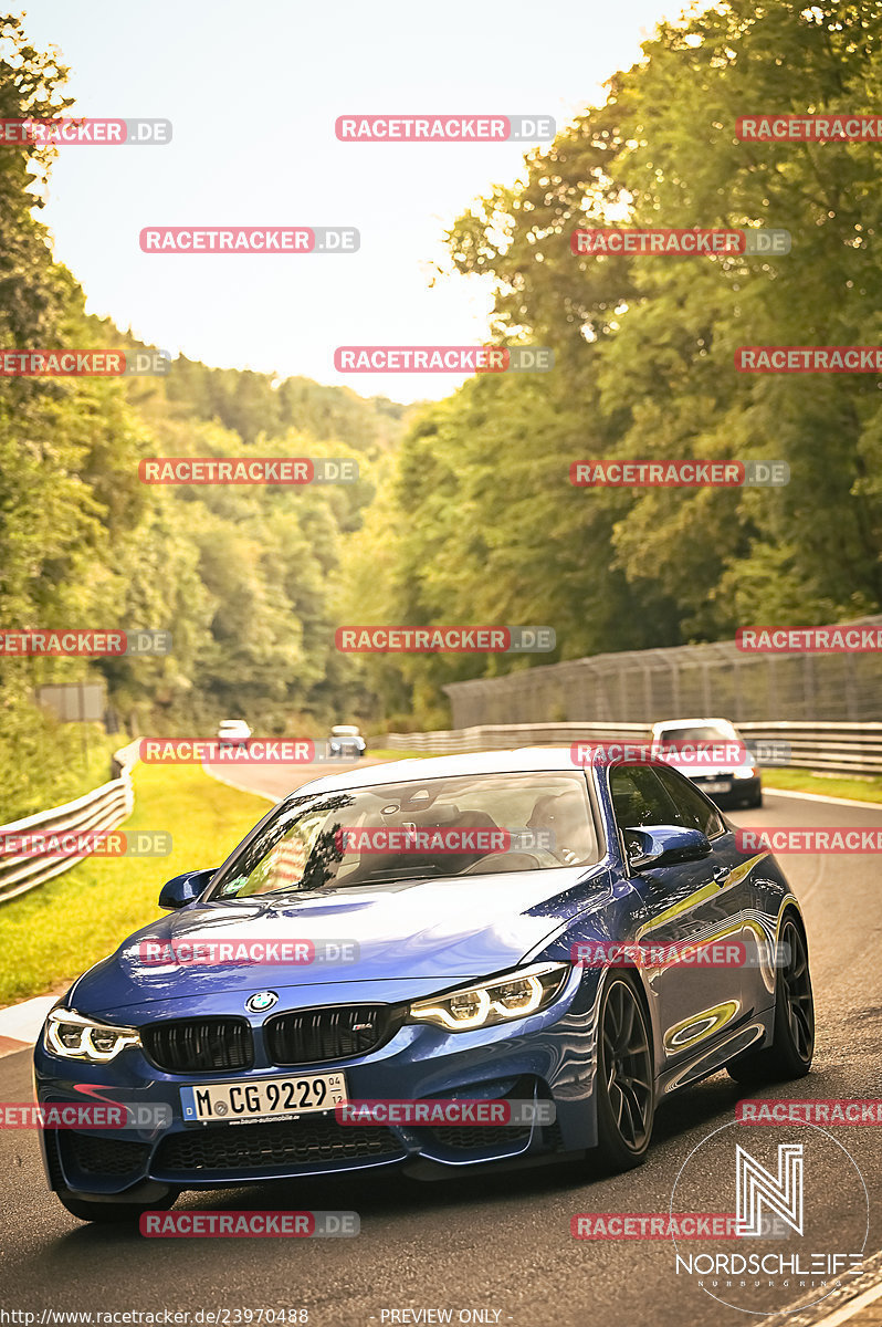 Bild #23970488 - Touristenfahrten Nürburgring Nordschleife (22.08.2023)