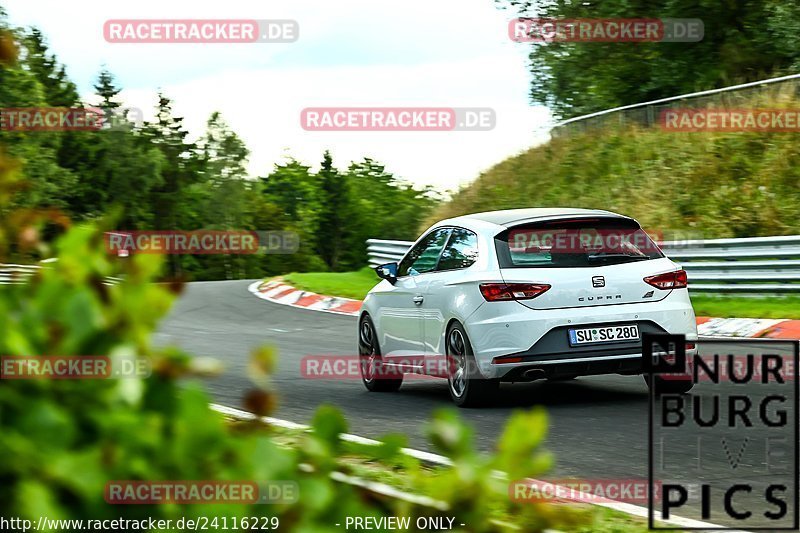 Bild #24116229 - Touristenfahrten Nürburgring Nordschleife (26.08.2023)