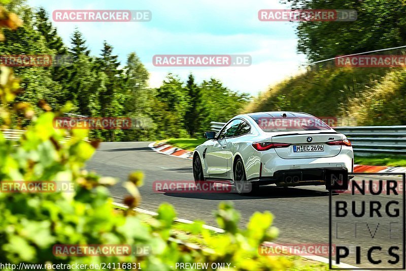 Bild #24116831 - Touristenfahrten Nürburgring Nordschleife (26.08.2023)