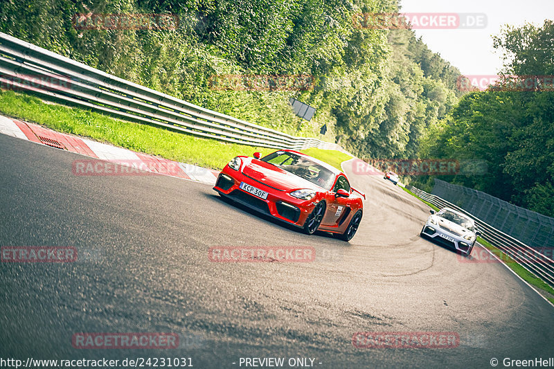 Bild #24231031 - Touristenfahrten Nürburgring Nordschleife (29.08.2023)