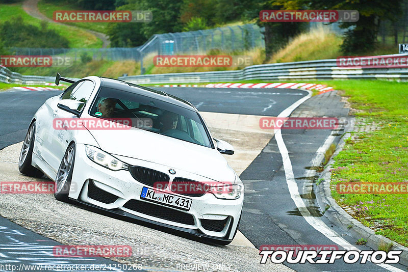 Bild #24250268 - Touristenfahrten Nürburgring Nordschleife (30.08.2023)