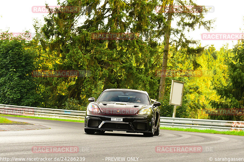 Bild #24286239 - Touristenfahrten Nürburgring Nordschleife (02.09.2023)