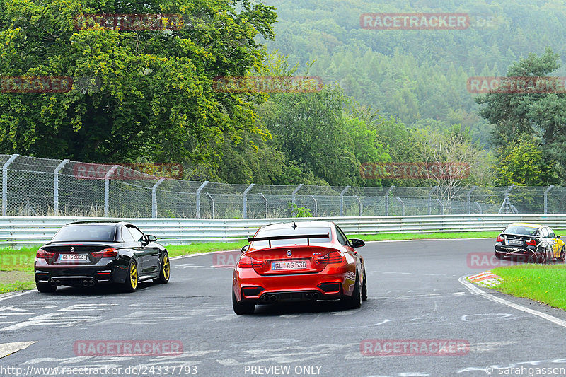 Bild #24337793 - Touristenfahrten Nürburgring Nordschleife (03.09.2023)