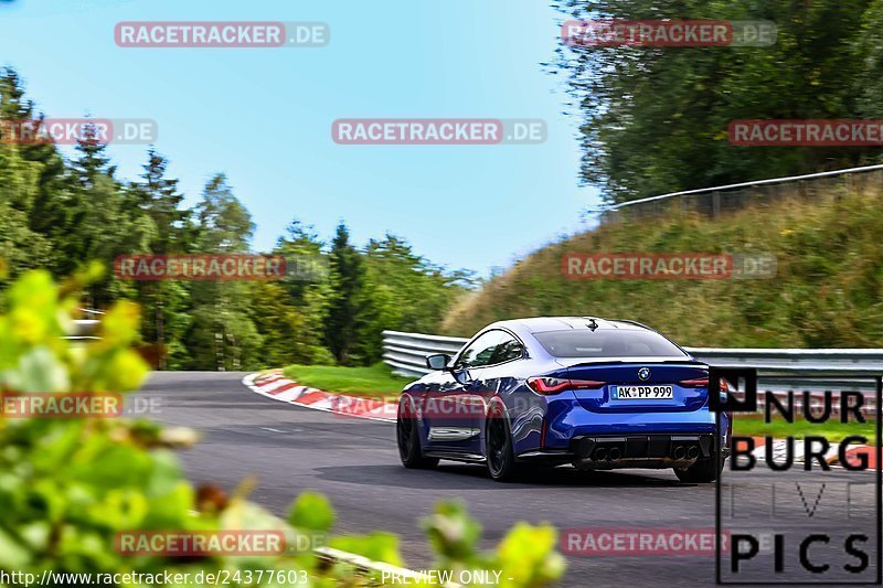 Bild #24377603 - Touristenfahrten Nürburgring Nordschleife (03.09.2023)