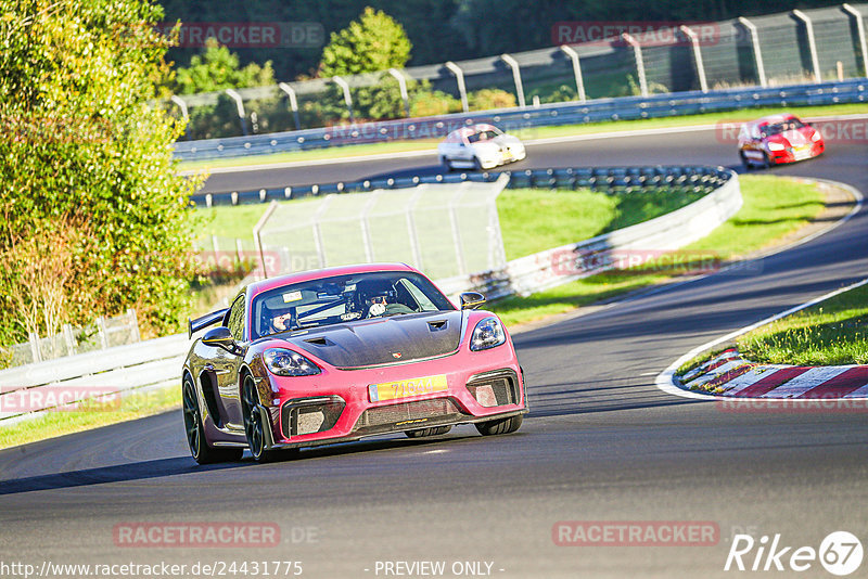 Bild #24431775 - Touristenfahrten Nürburgring Nordschleife (07.09.2023)