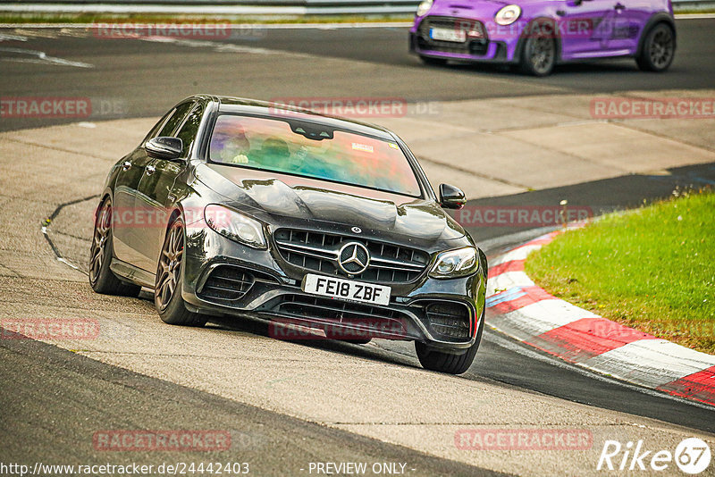 Bild #24442403 - Touristenfahrten Nürburgring Nordschleife (11.09.2023)