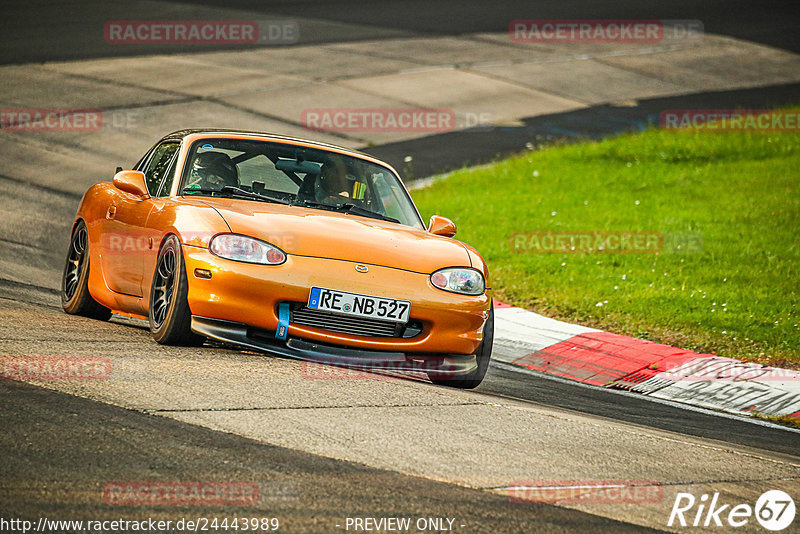 Bild #24443989 - Touristenfahrten Nürburgring Nordschleife (11.09.2023)