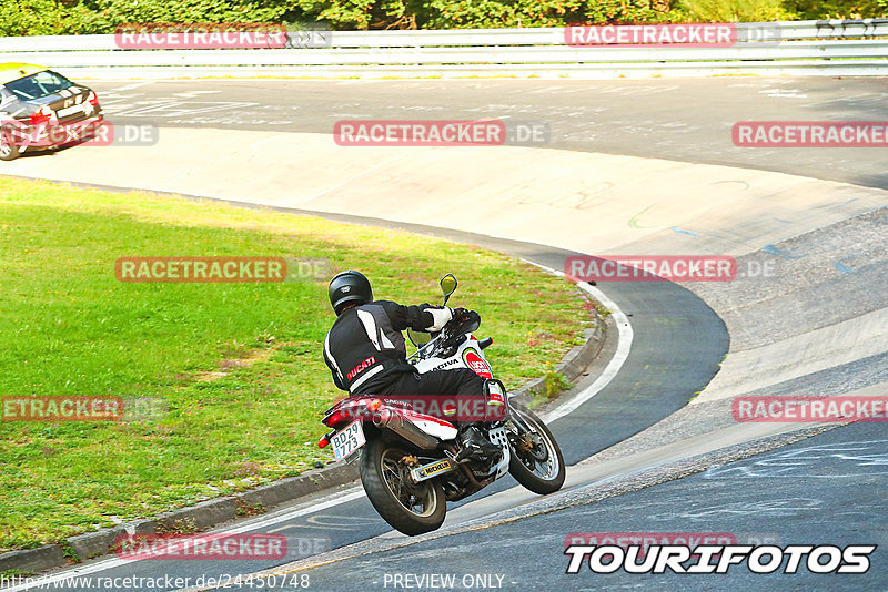 Bild #24450748 - Touristenfahrten Nürburgring Nordschleife (11.09.2023)