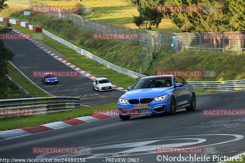 Bild #24480156 - Touristenfahrten Nürburgring Nordschleife (14.09.2023)