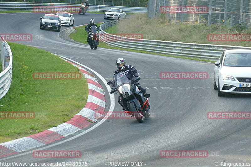 Bild #24480375 - Touristenfahrten Nürburgring Nordschleife (14.09.2023)