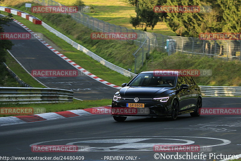 Bild #24480409 - Touristenfahrten Nürburgring Nordschleife (14.09.2023)