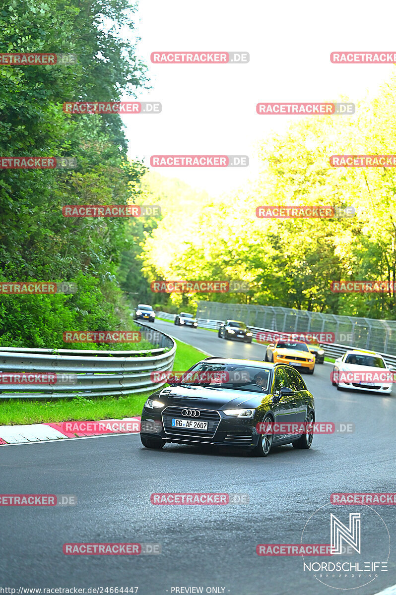 Bild #24664447 - Touristenfahrten Nürburgring Nordschleife (24.09.2023)