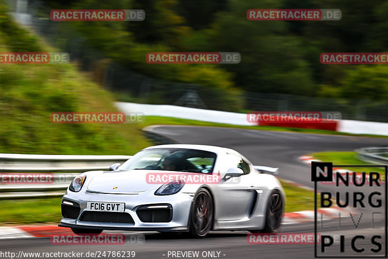 Bild #24786239 - Touristenfahrten Nürburgring Nordschleife (28.09.2023)