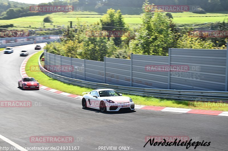 Bild #24931167 - Touristenfahrten Nürburgring Nordschleife (01.10.2023)